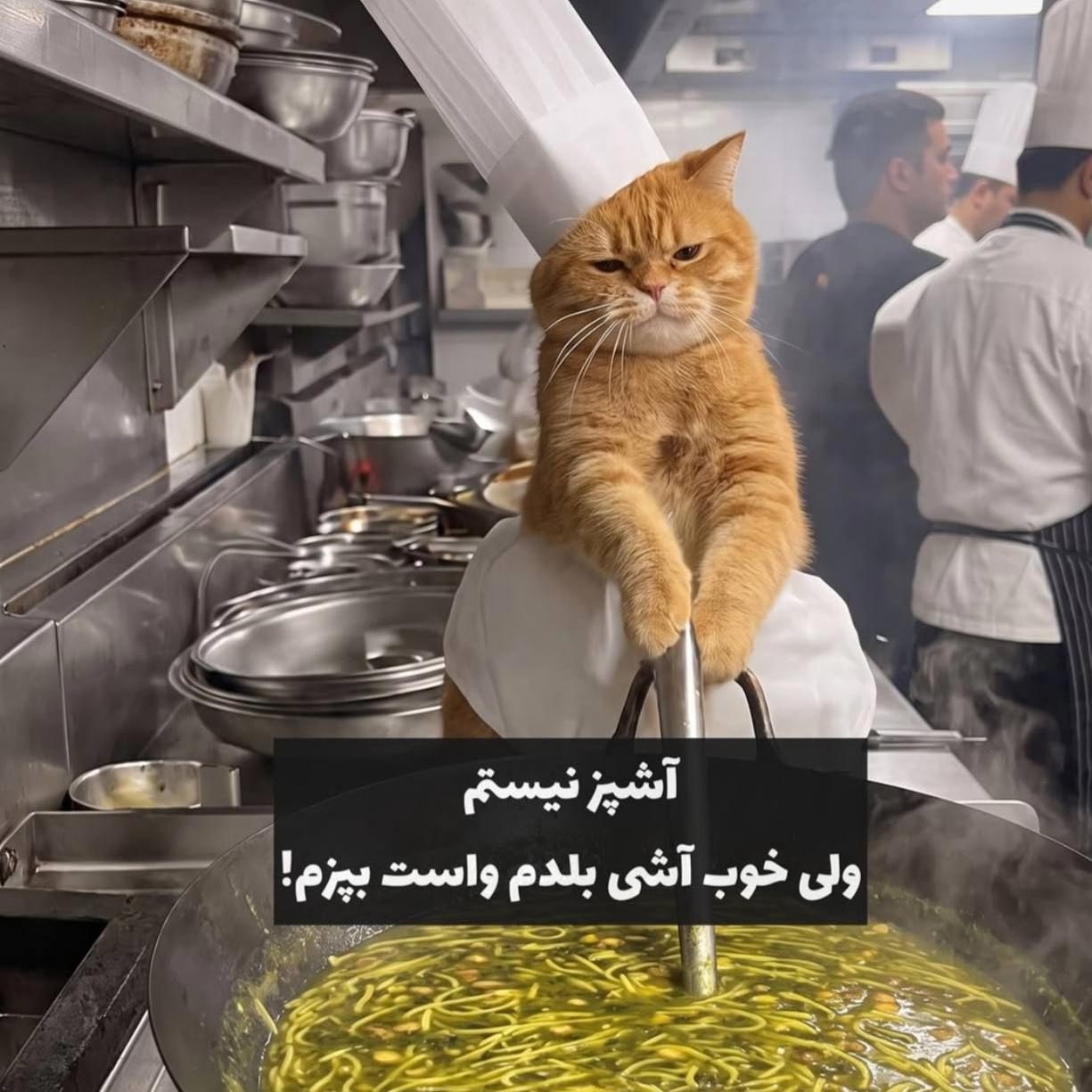 آشپز نیستم ولی خوب آشی بلدم واست بپزم