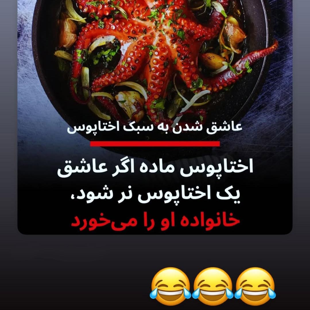 اختاپوس ماده اگر عاشق یک اختاپوس نر شود خانواده او را میخورد