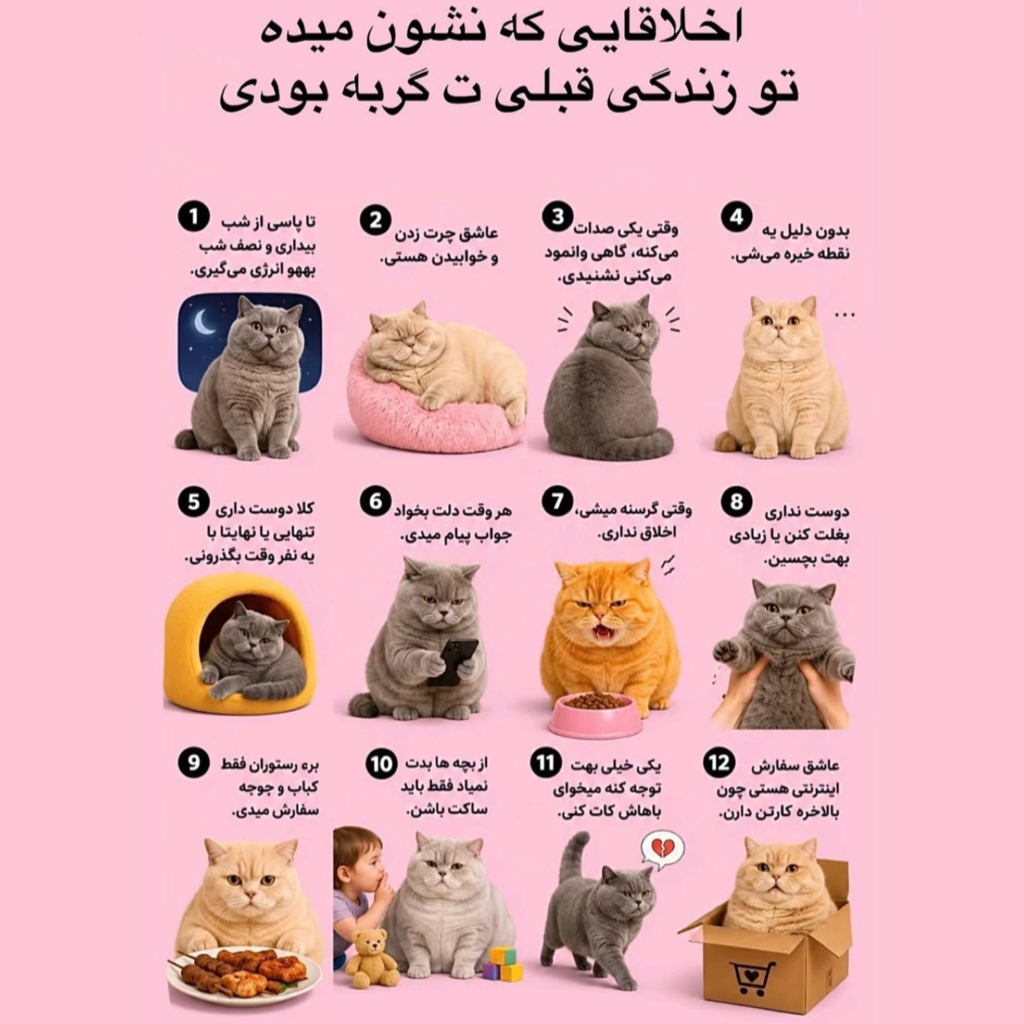 اخلاق هایی که نشون میده گربه بودی