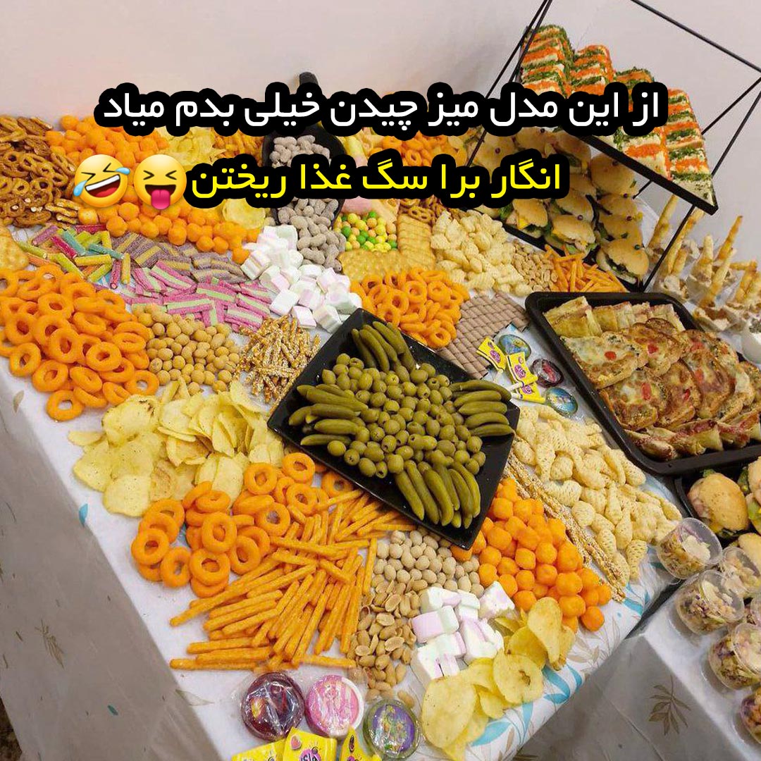از این مدل میز مزه چیدن خیلی بدم میاد انگار برا سگ غذا ریختن