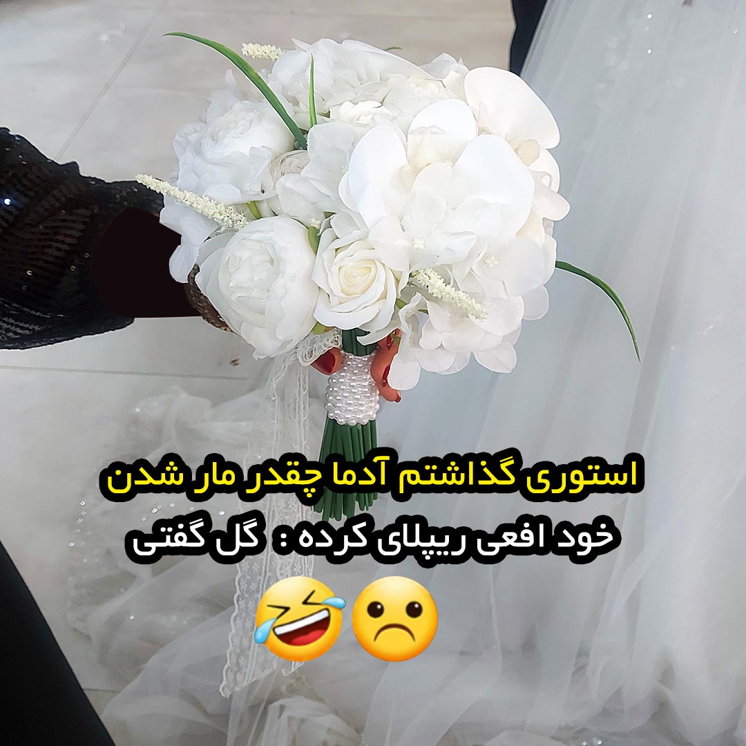 استوری گذاشتم آدما چقدر مار شدن خود افعی ریپلای کرده : گل گفتی