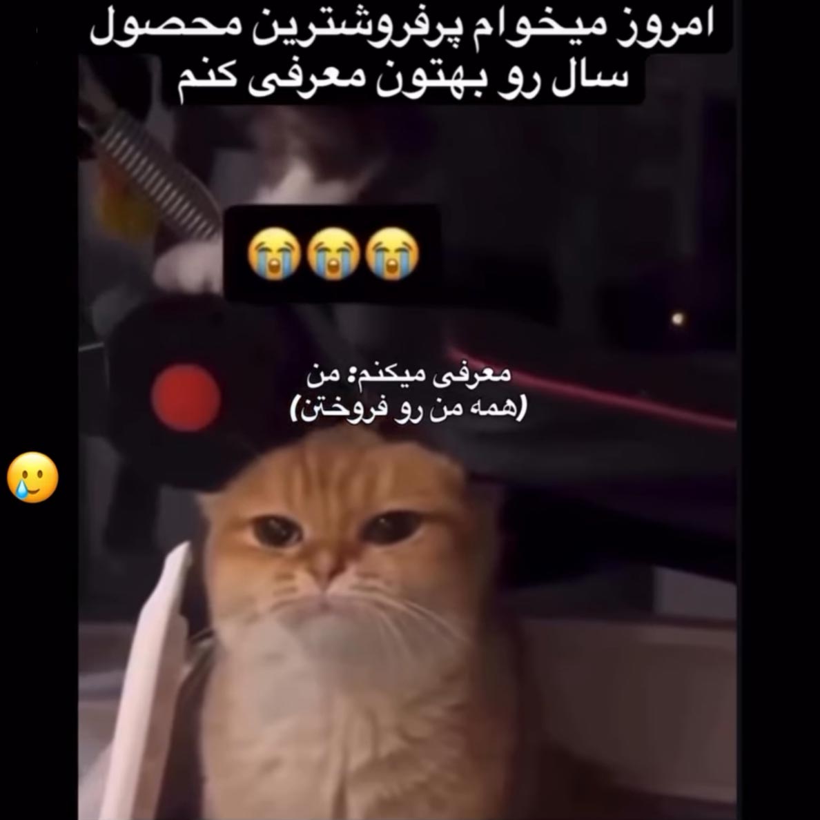 امروز میخوام پرفروشترین محصول سال رو بهتون معرفی کنم