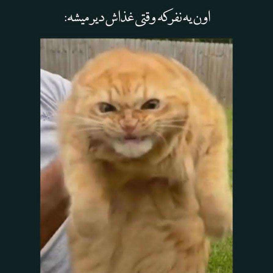 اون یه نفر که وقتی غذاش دیر میشه