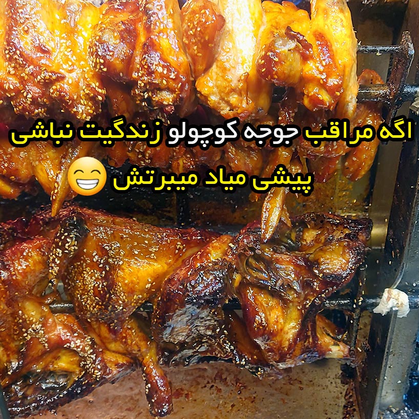 اگه مراقب جوجه کوچولو زندگیت نباشی پیشی میاد میبرتش