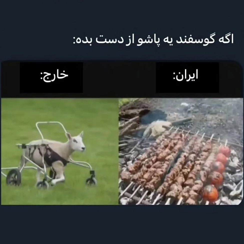 اگه گوسفند یه پاشو از دست بده در ایران و خارج