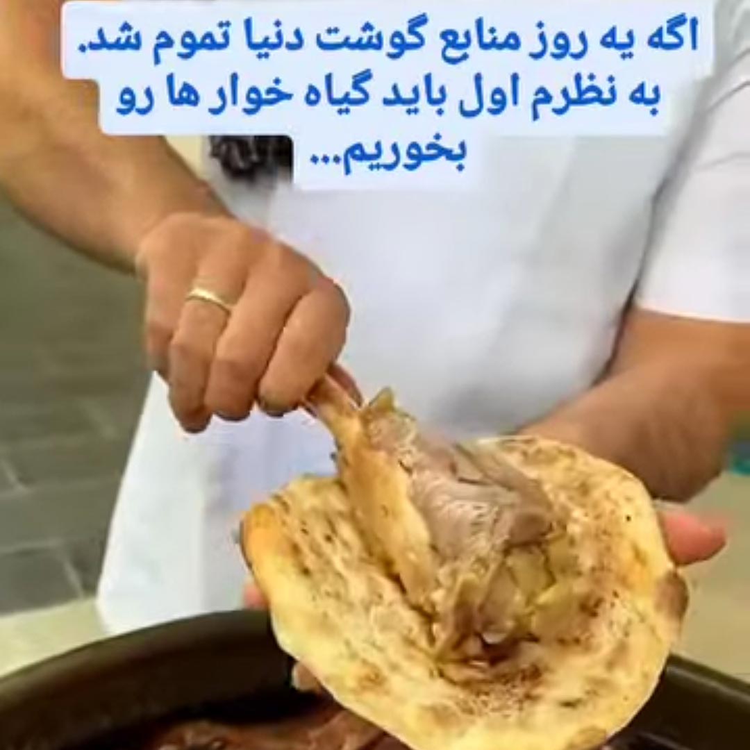 اگه یه روز منابع گوشت دنیا تموم شد به نظرم