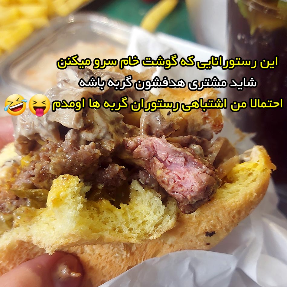 این رستورانایی که گوشت خام سرو میکنن شاید مشتری هدفشون گربه باشه