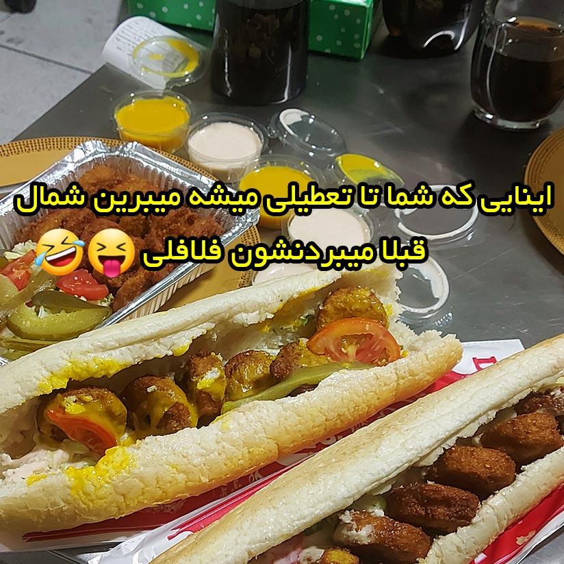 اینایی که شما تا تعطیلی میشه میبرین شمال قبلا میبردنشون فلافلی