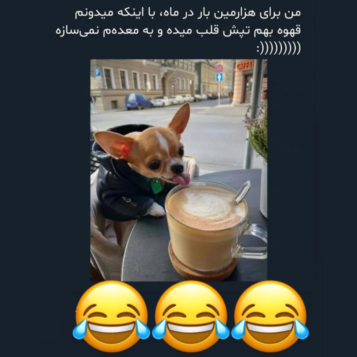 با اینکه میدونم قهوه بهم تپش قلب میده