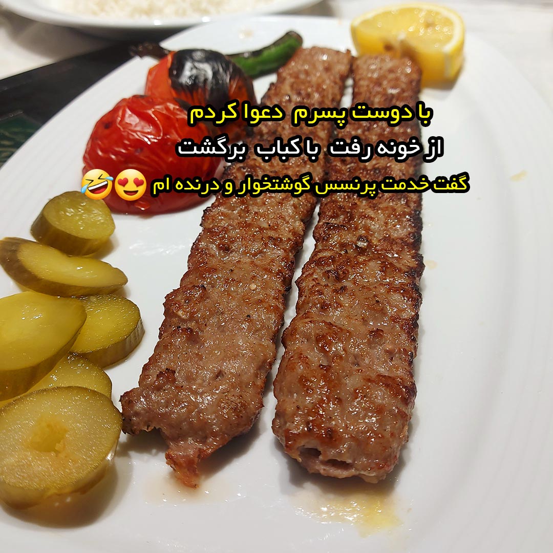 با شوهرم دعوا کردم از خونه رفت با کباب برگشت گفت خدمت پرنسس گوشتخوار و درنده ام