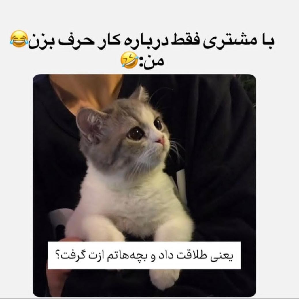 با مشتری فقط درباره کار حرف بزن من یعنی طلاقت داد
