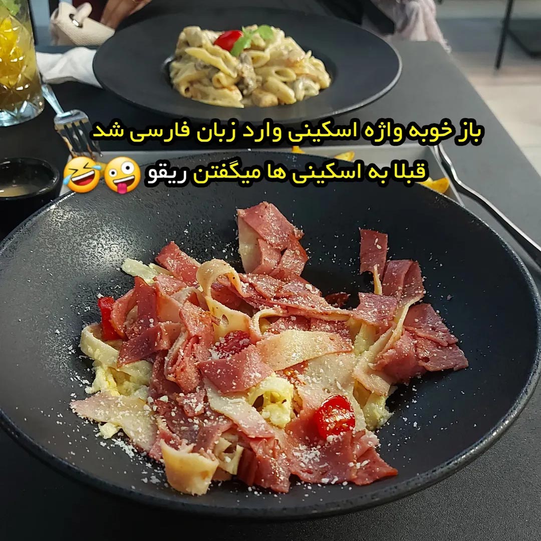 باز خوبه واژه اسکینی وارد زبان فارسی شد