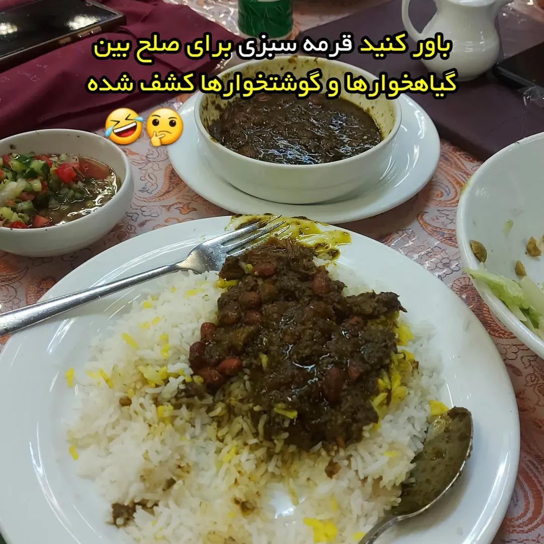 باور کنید قرمه سبزی برای صلح بین گیاهخوارها و گوشتخوارها کشف شده