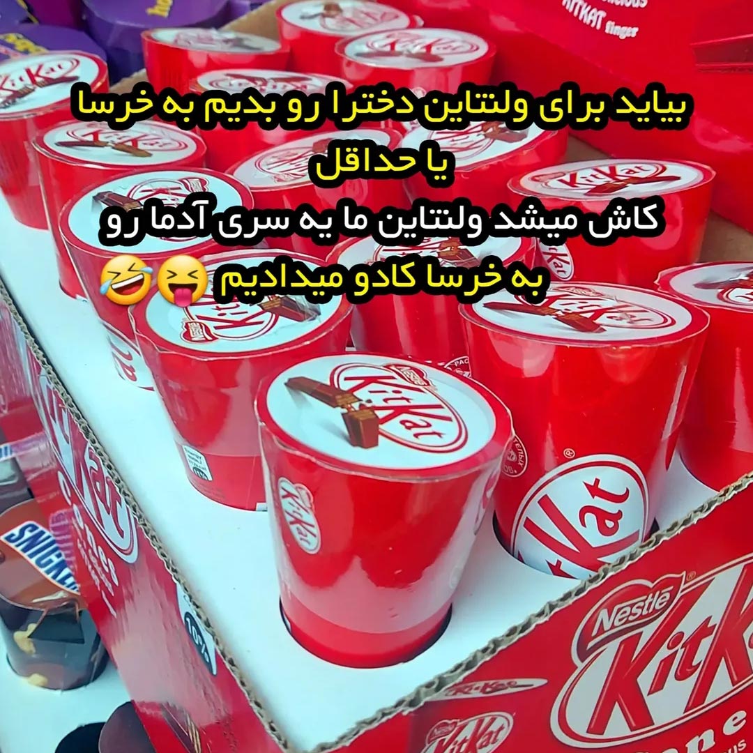 برای ولنتاین دخترا رو بدیم به خرسا