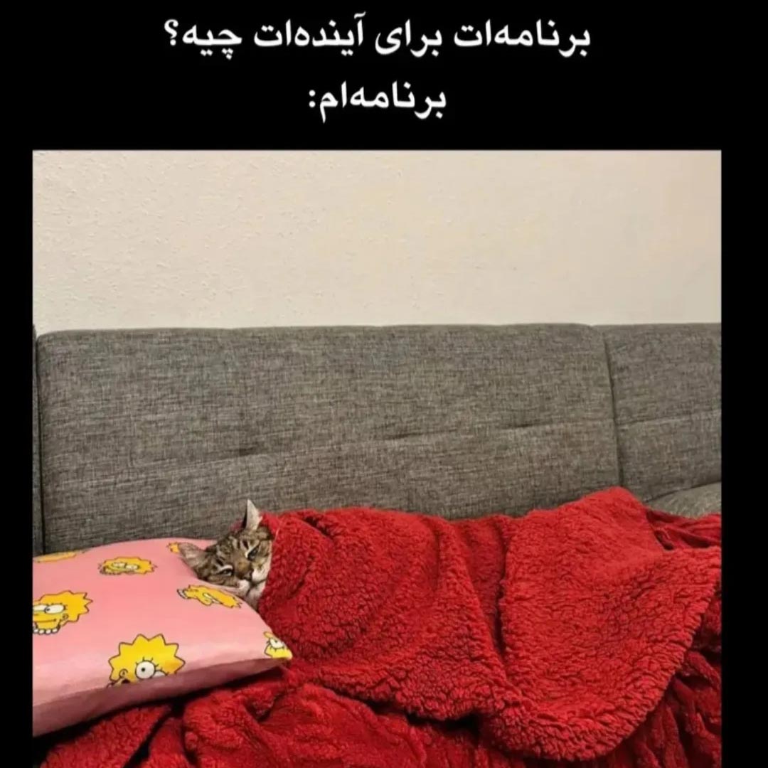 برنامه ات برای آینده ات چیه ؟ برنامه ام خواب و استراحت