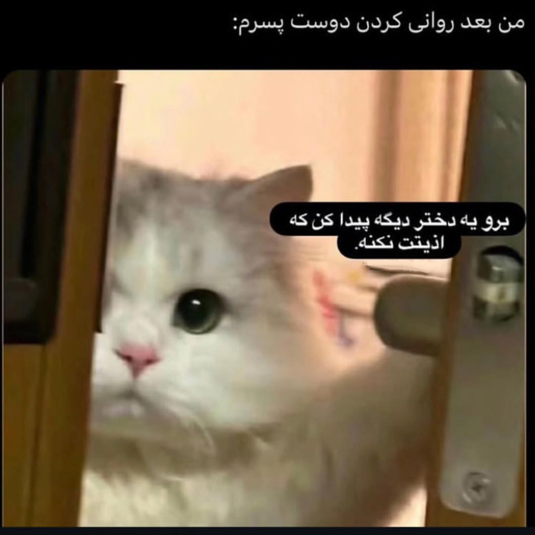 برو یه دختر دیگه پیدا کن که اذیتت نکنه