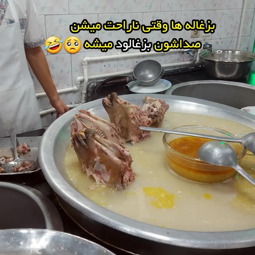 بزغاله ها وقتی ناراحت میشن صداشون بزغالود میشه