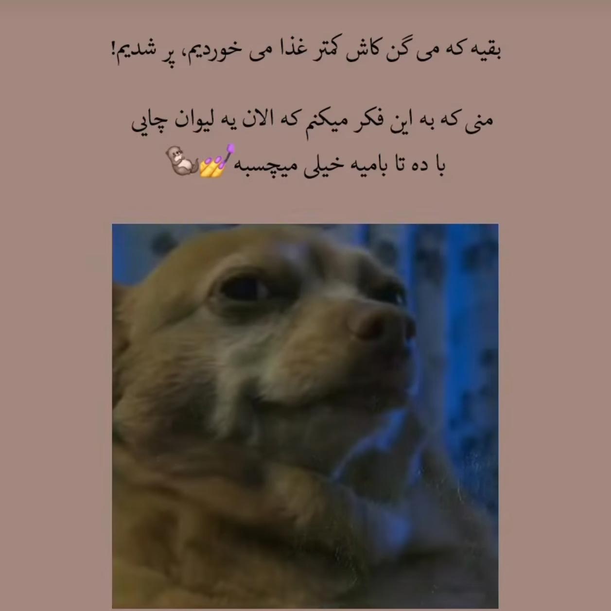 بقیه که میگن کاش کمتر غذا میخوردیم پر شدیم منی که به این فکر میکنم