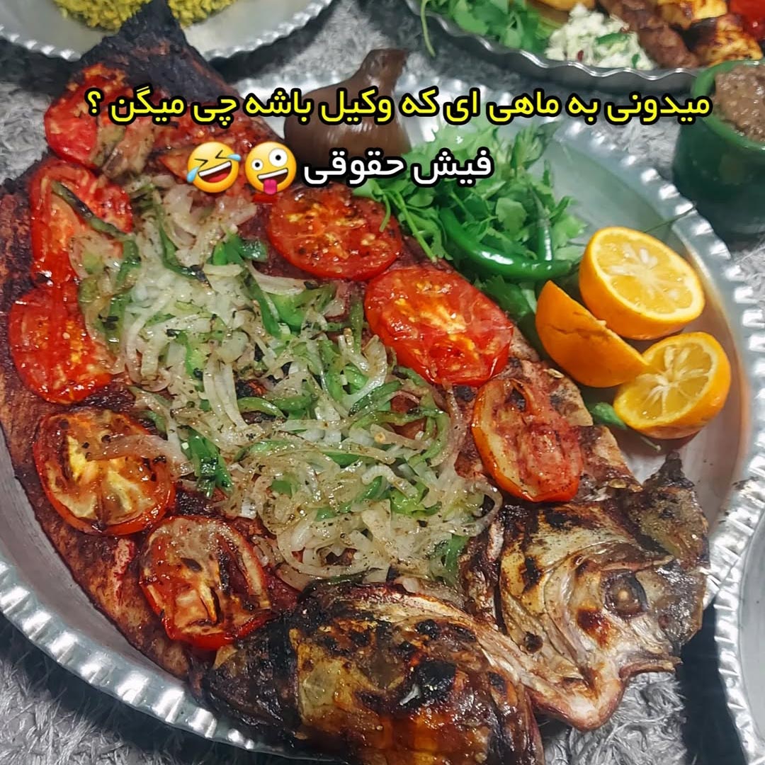 به ماهی ای که وکیل باشه چی میگن ؟