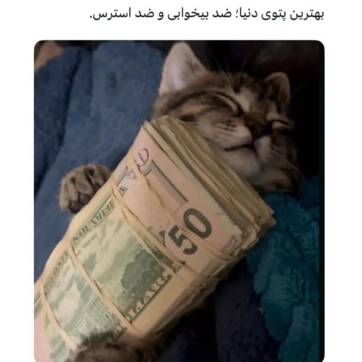 بهترین پتوی دنیا ضد بیخوابی و ضد استرس