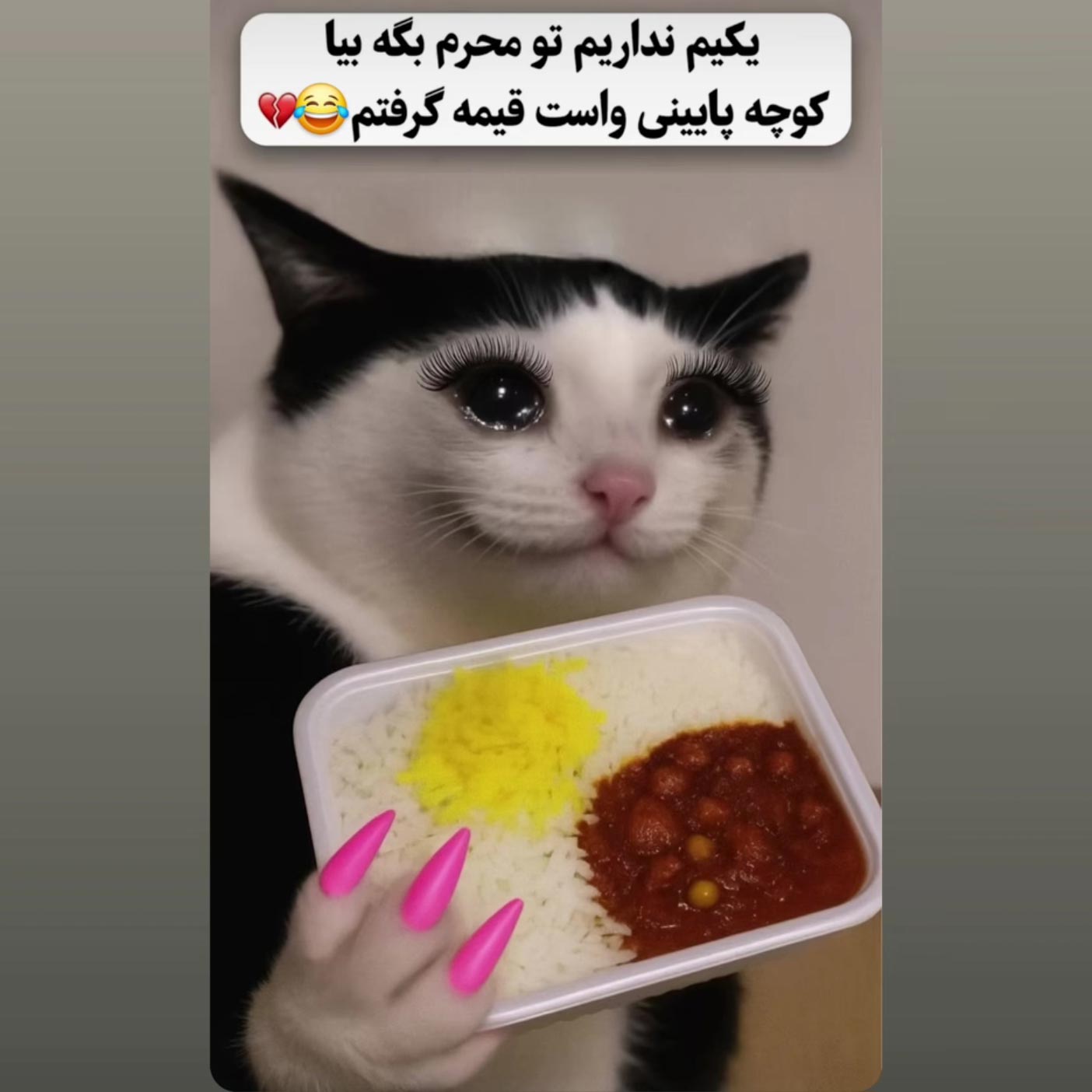 بیا کوچه پایینی واست قیمه گرفتم