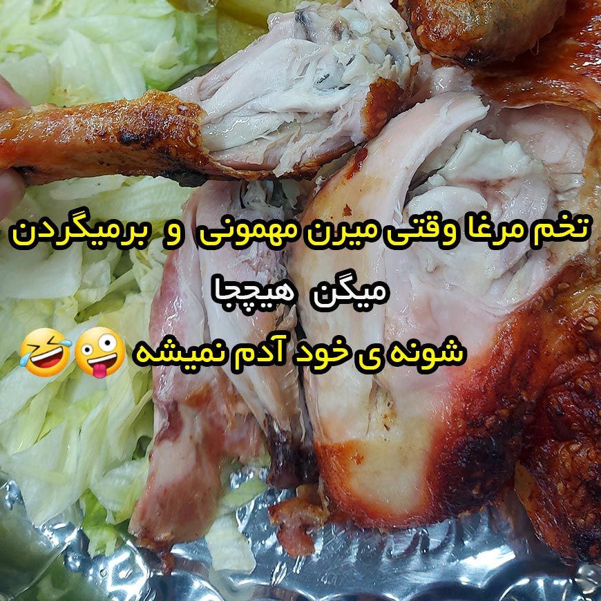 تخم مرغا وقتی میرن مهمونی و برمیگردن میگن هیچجا شونه ی خود آدم نمیشه