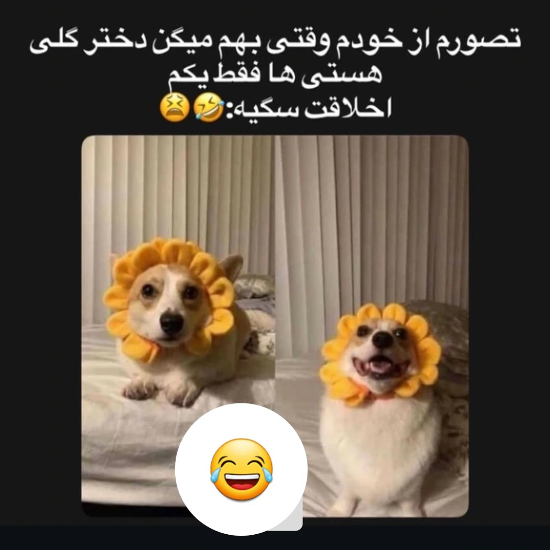 تصورم از خودم وقتی میگن دختر گلی هستی فقط یکم اخلاقت سگیه