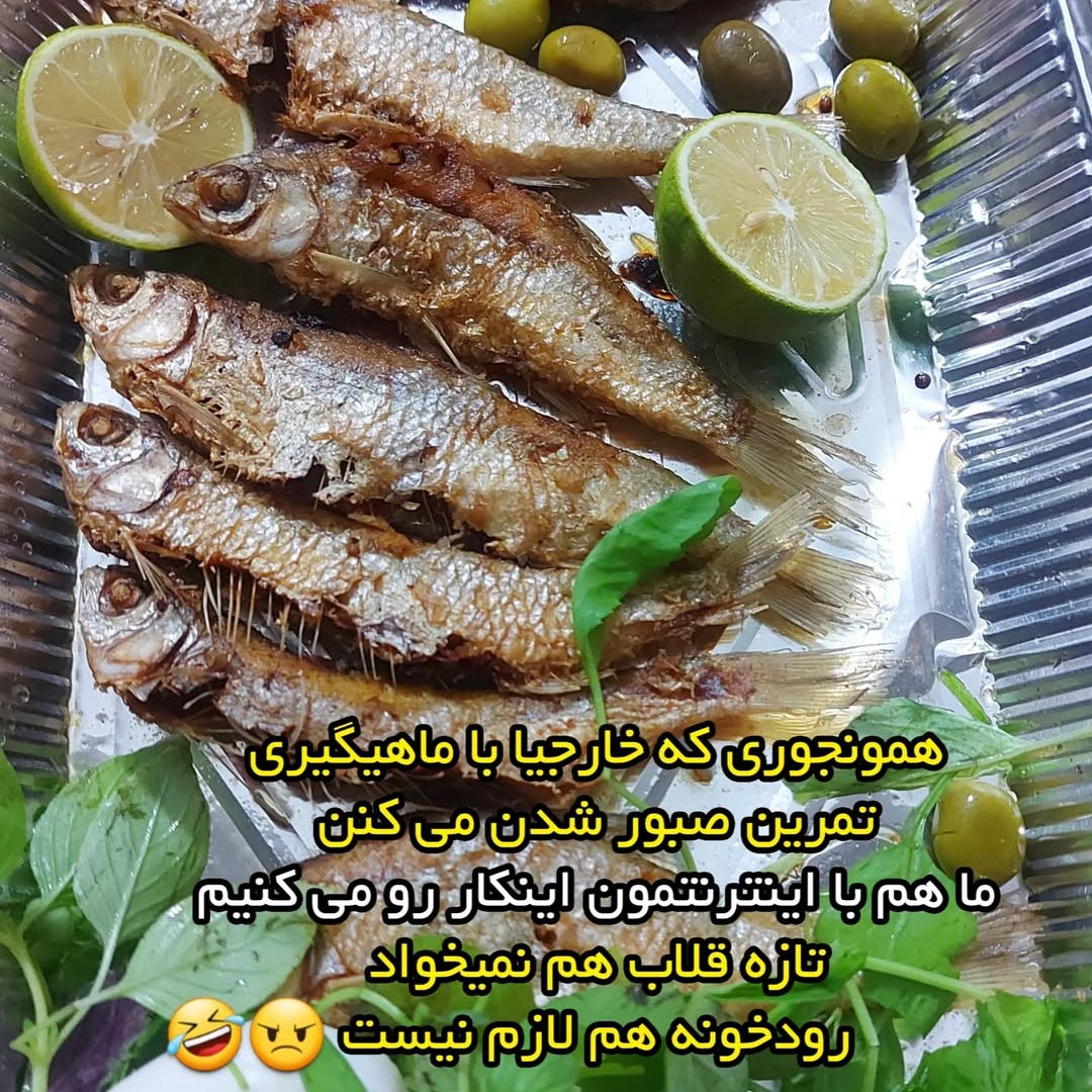 تمرین صبور شدن با ماهیگیری