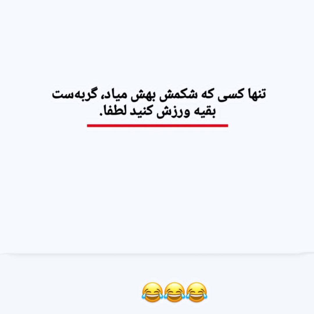 تنها کسی که شکمش بهش میاد گربه ست بقیه ورزش کنید لطفا
