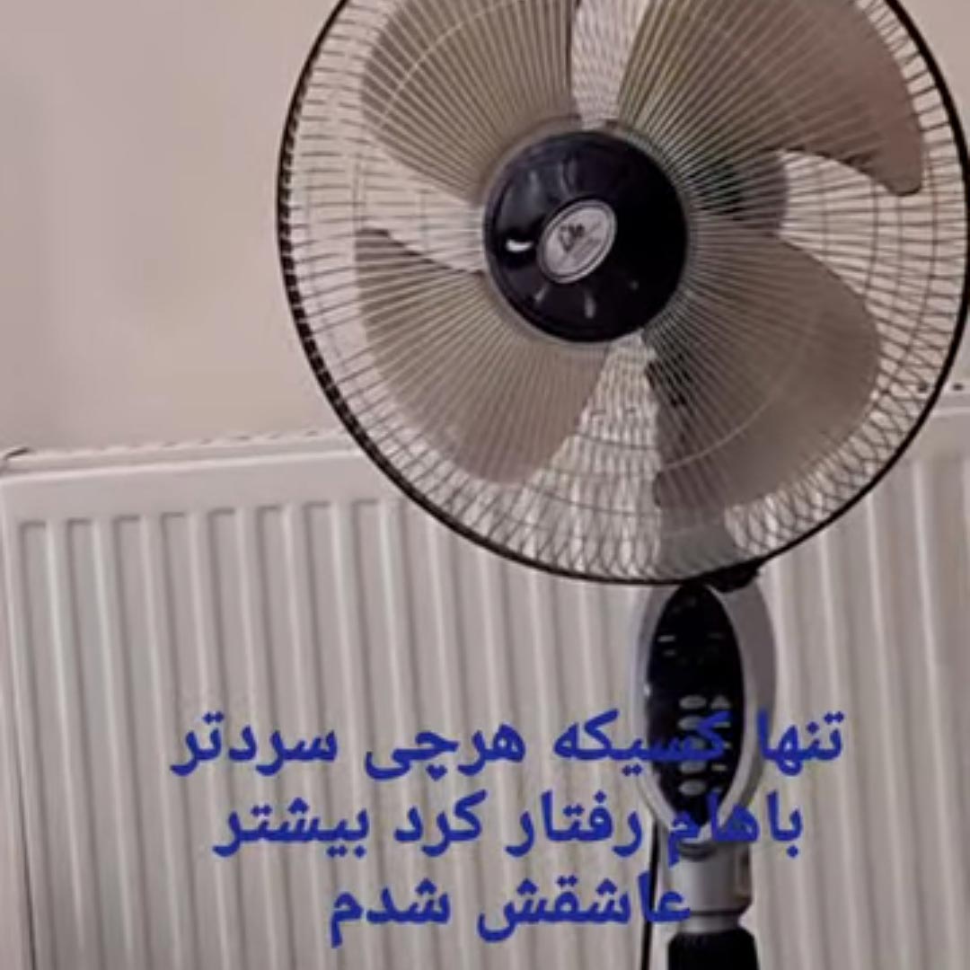 تنها کسیکه هرچی سردتر باهام رفتار کرد بیشتر عاشقش شدم