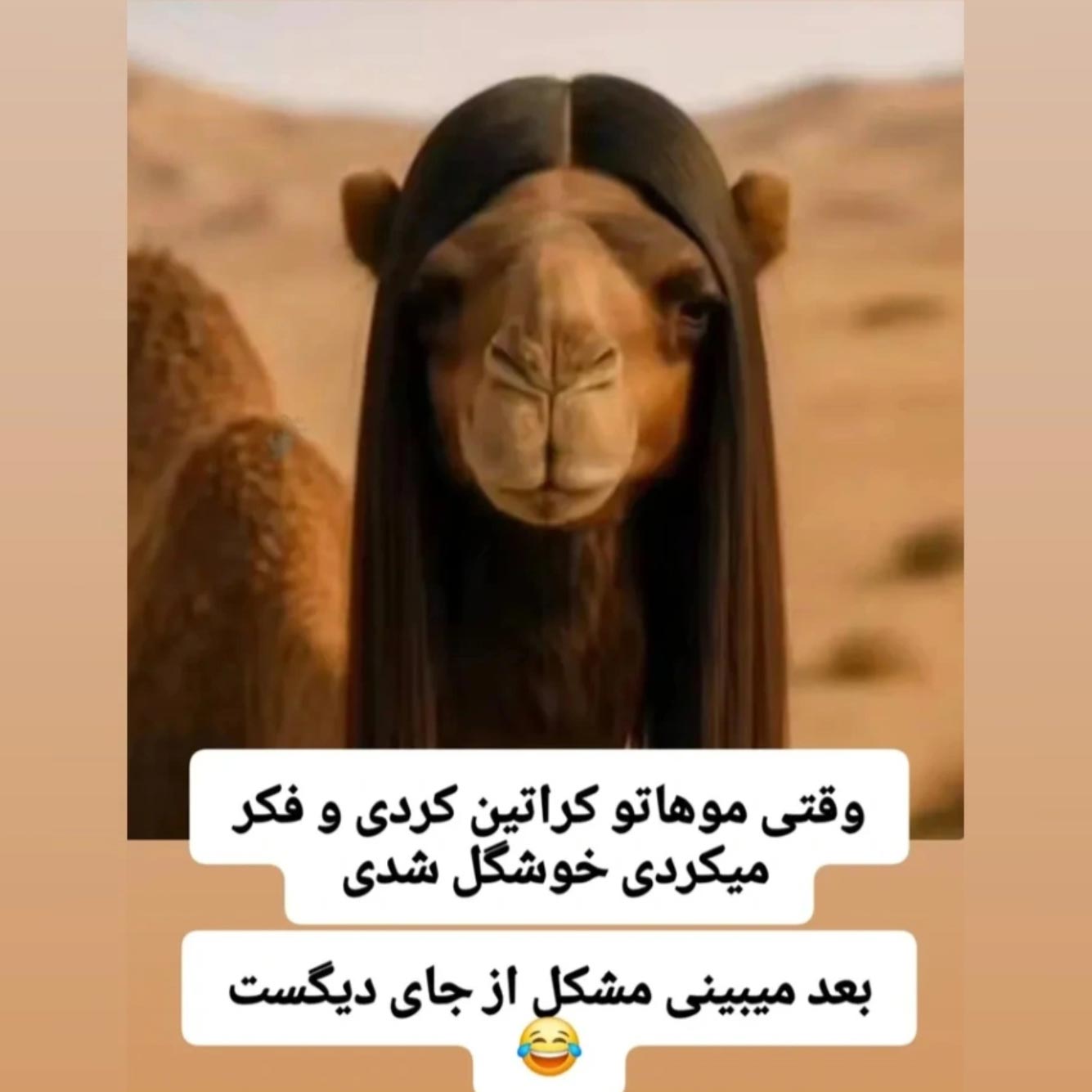 جوک کراتین مو – وقتی موهاتو کراتین کردی