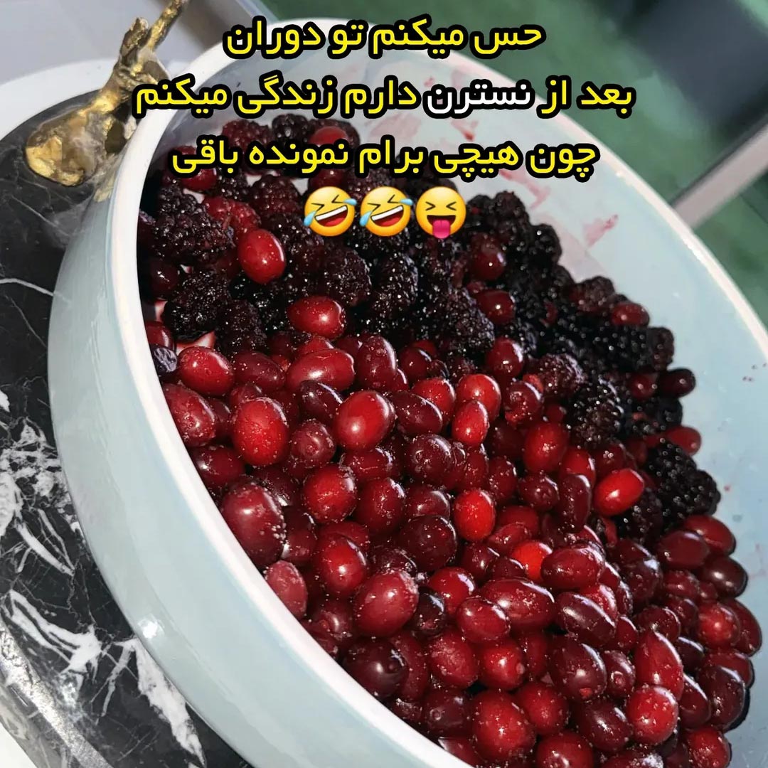 حس میکنم تو دوران بعد از نسترن دارم زندگی میکنم چون هیچی برام نمونده باقی