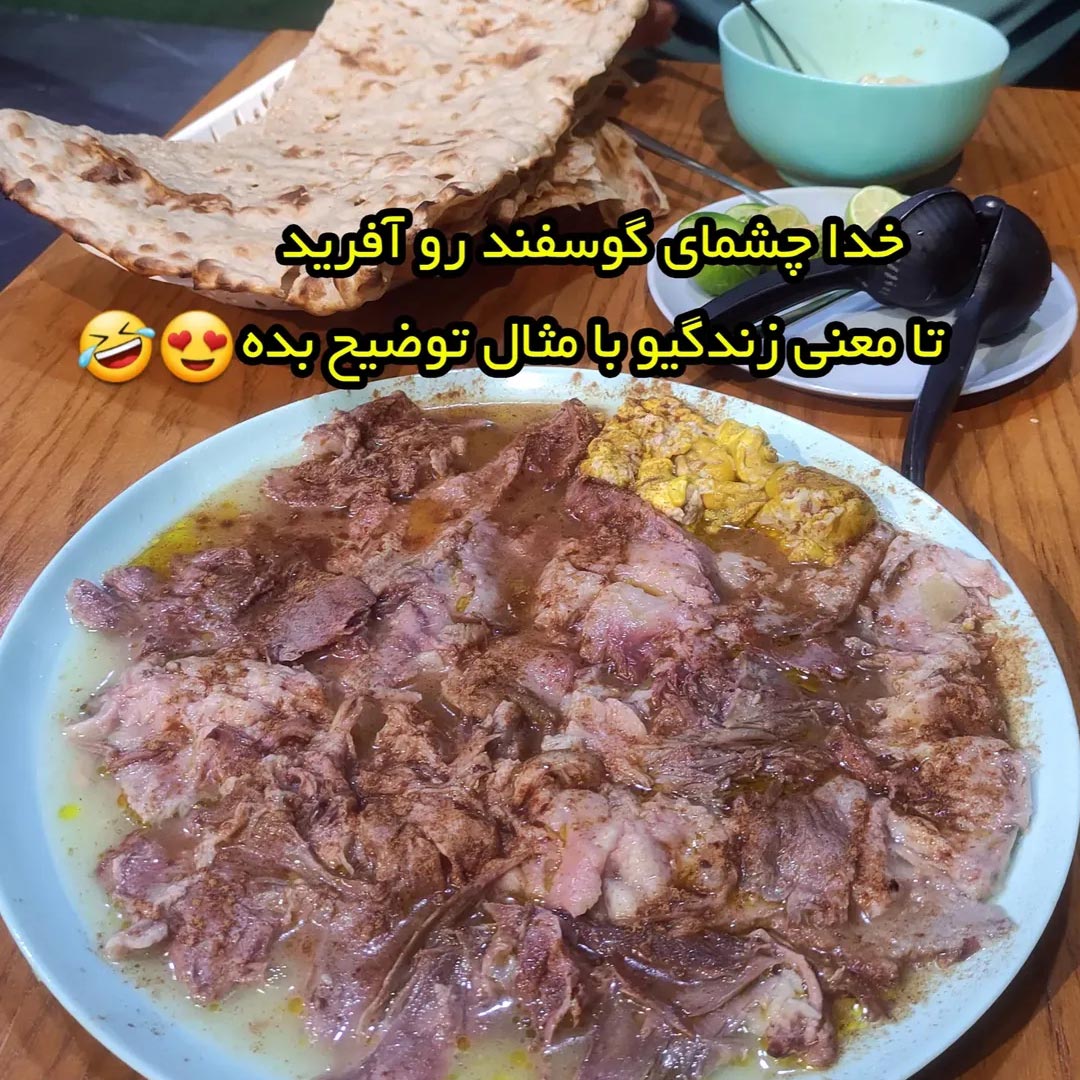 خدا چشای گوسفند رو آفرید تا