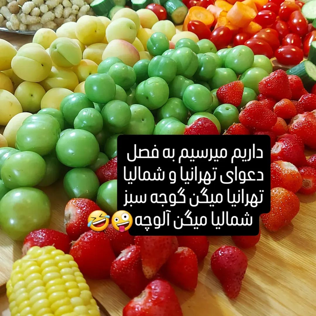 داریم میرسیم به فصل دعوای تهرانیا و شمالیا