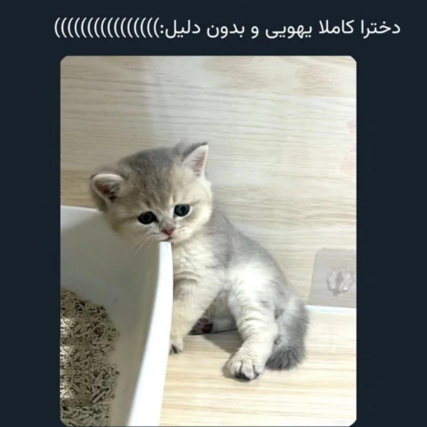 دخترا کاملا یهویی و بدون دلیل