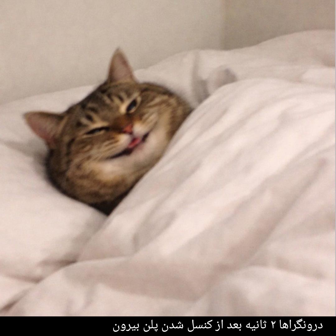 درونگراها دو ثانیه بعد از کنسل شدن پلن بیرون