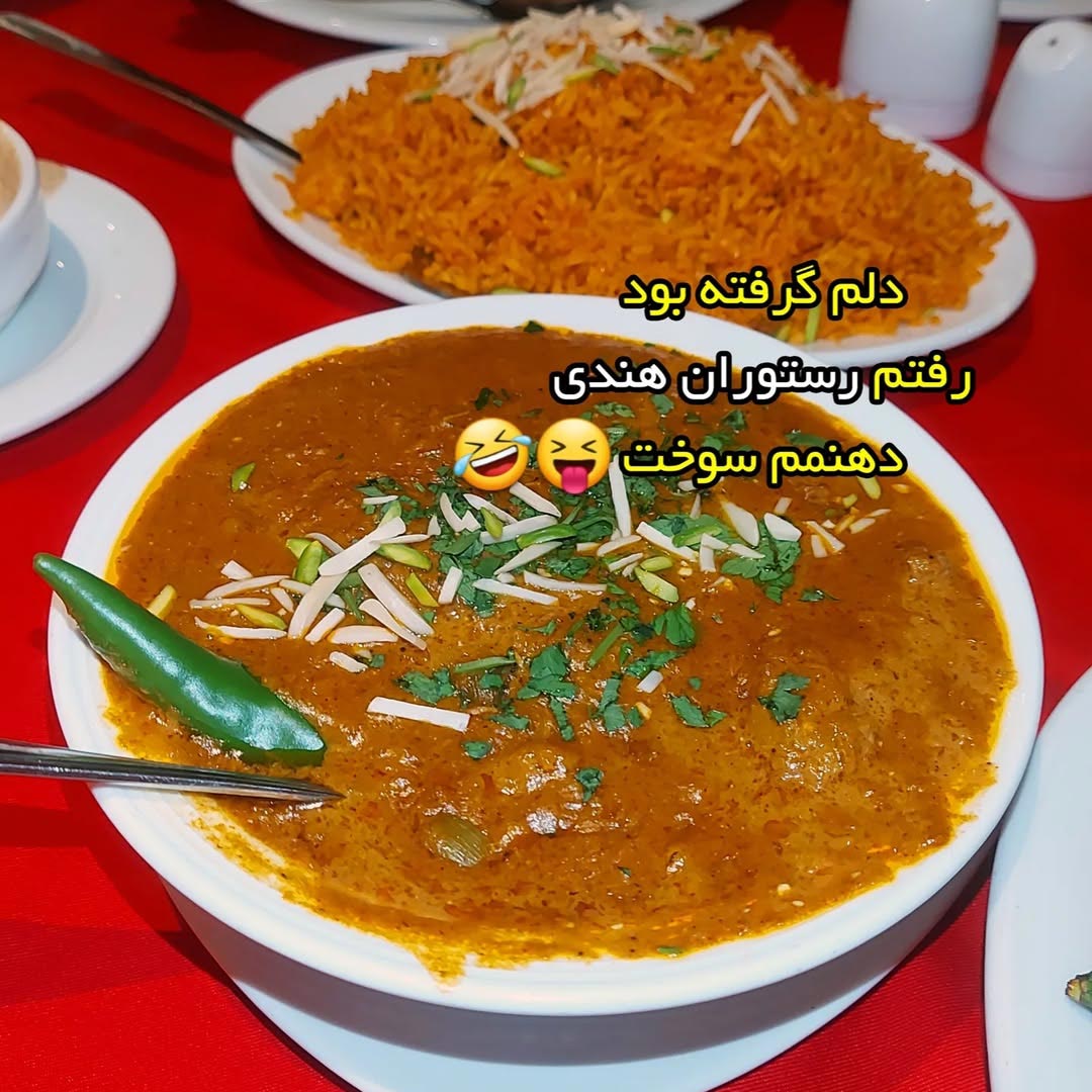 دلم گرفته بود رفتم رستوران هندی