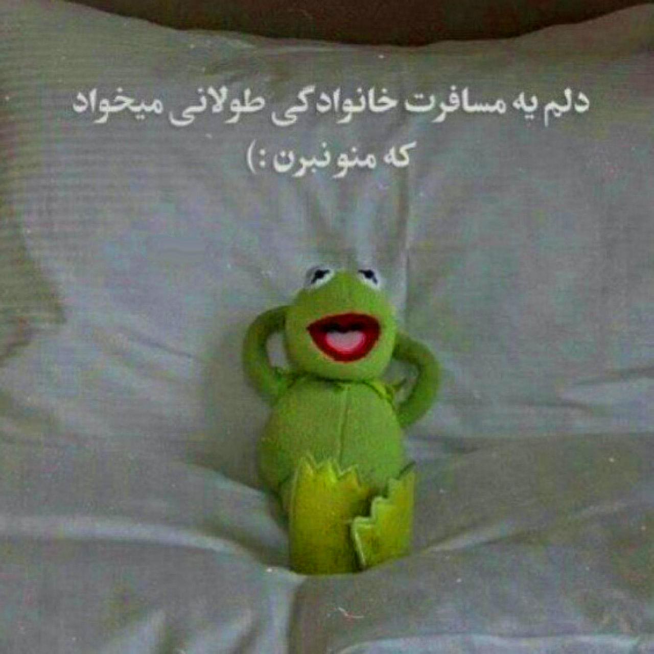 دلم یه مسافرت خانوادگی طولانی میخواد که منو نبرن