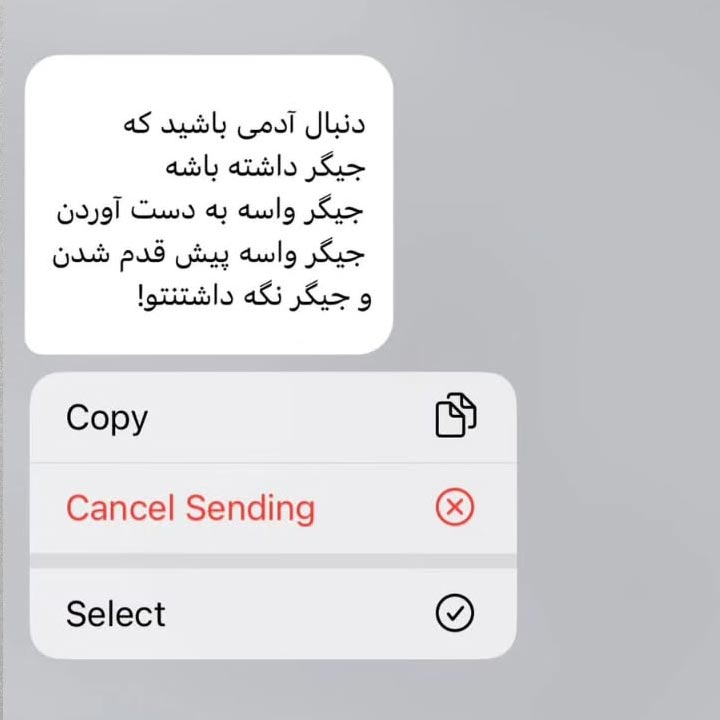 دنبال آدمی باشید که جیگر داشته باشه جیگر واسه به دست آوردن