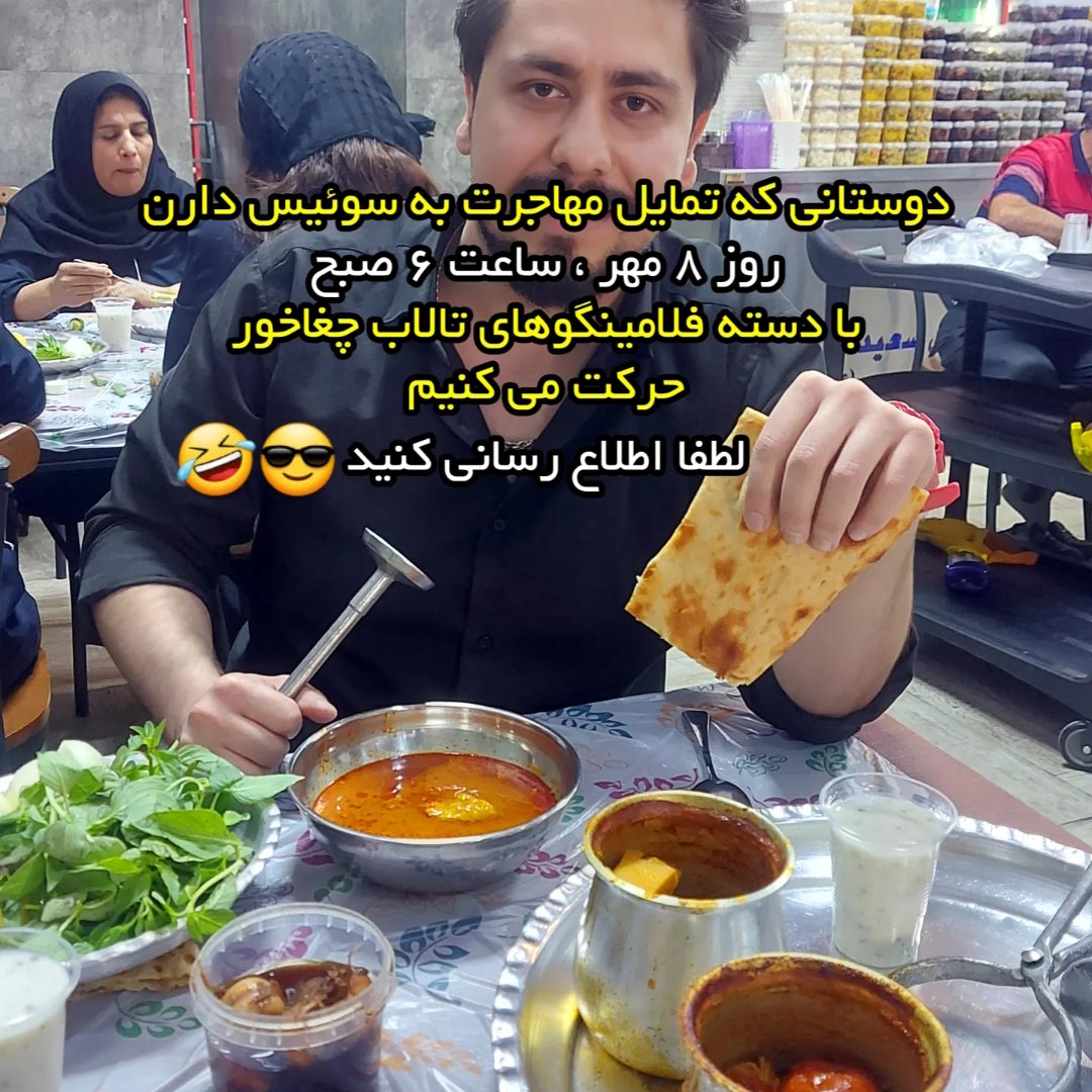 دوستانی که تمایل مهاجرت به سوئیس دارن