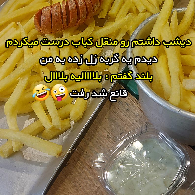 دیشب داشتم رو منقل کباب درست میکردم دیدم یه گربه زل زده به من