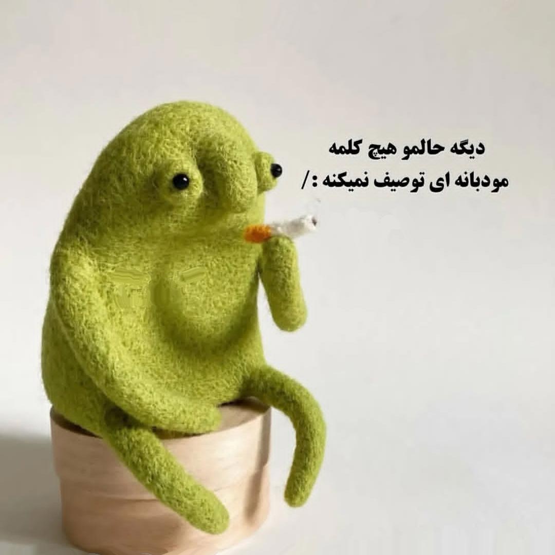دیگه حالمو هیچ کلمه مودبانه ای توصیف نمیکنه