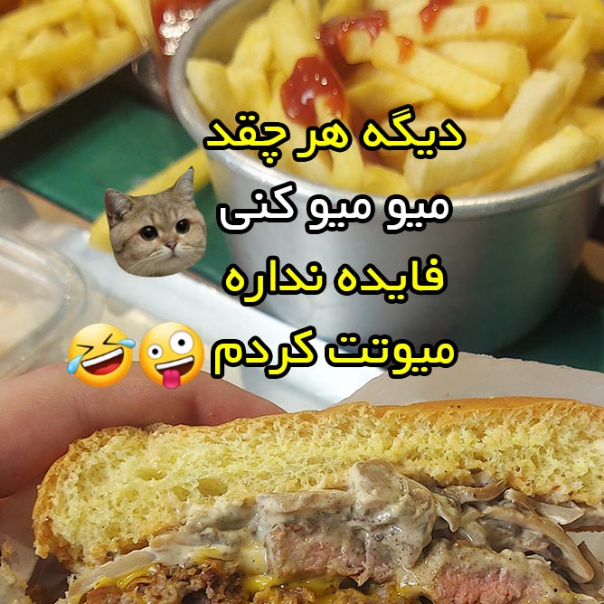 دیگه هر چقد میو میو کنی فایده نداره میوتت کردم