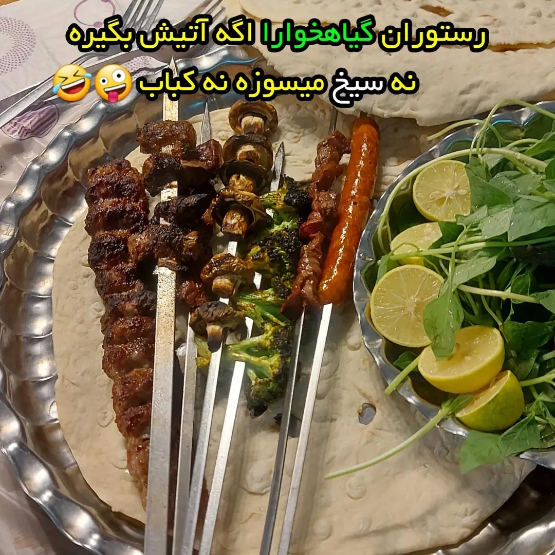 رستوران گیاهخوارا اگه آتیش بگیره نه سیخ میسوزه نه کباب