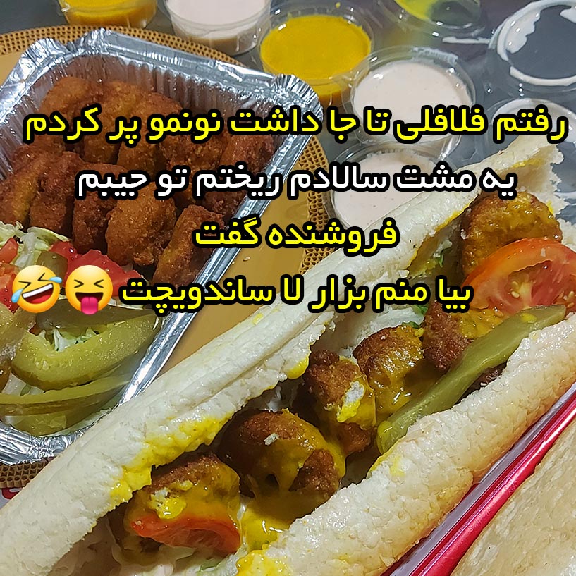 رفتم فلافلی تا جا داشت نونمو پر کردم یه مشت سالادم ریختم تو جیبم