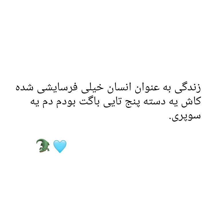 زندگی به عنوان انسان خیلی فرسایشی شده کاش یه دسته پنج تایی باگت بودم