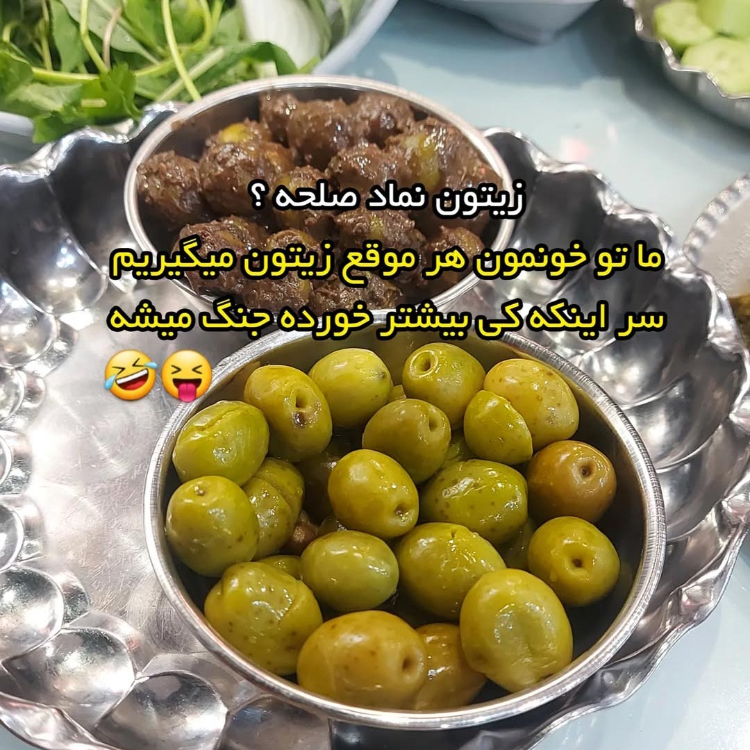 زیتون نماد صلحه ؟