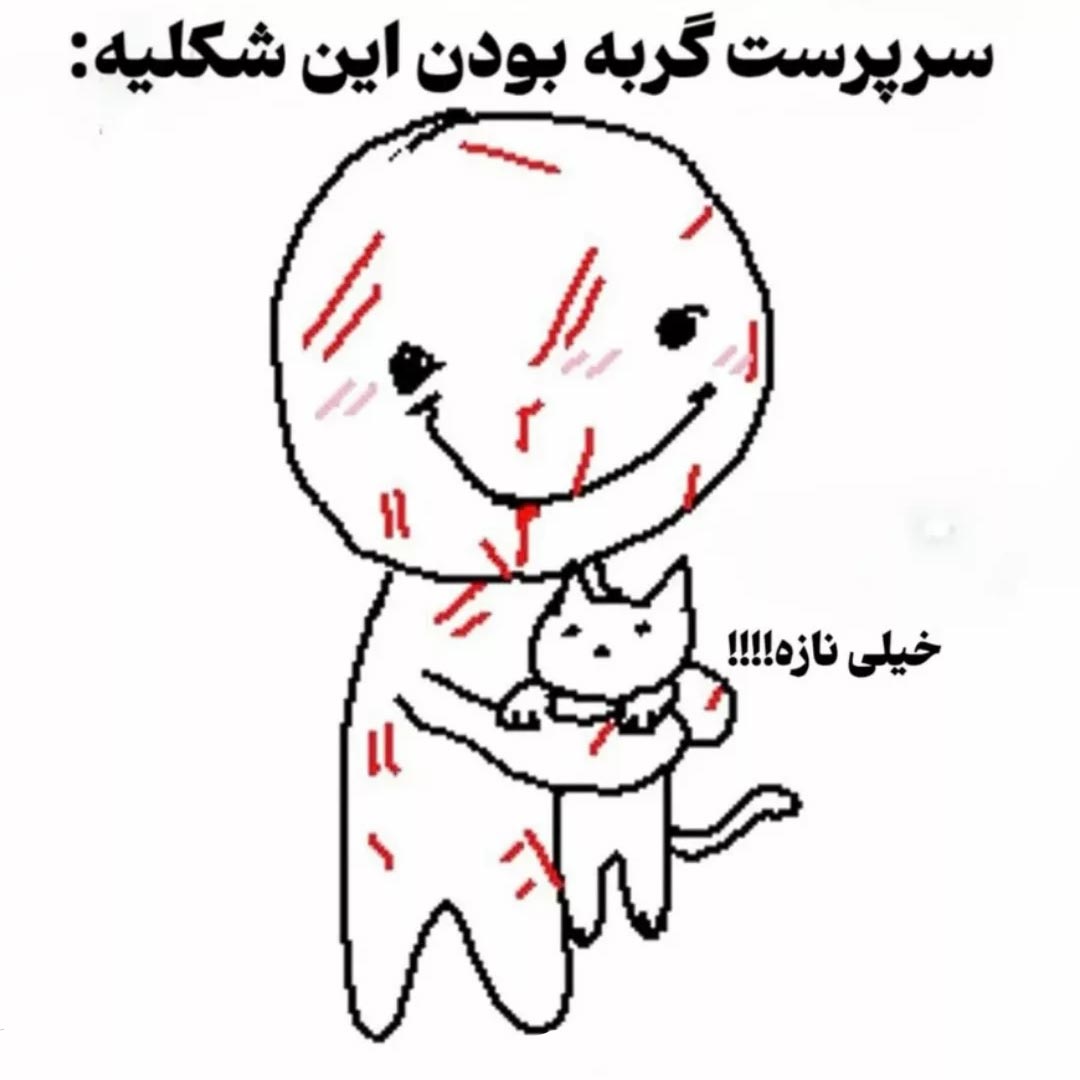 سرپرست گربه بودن این شکلیه خیلی نازه