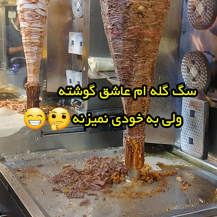 سگ گله ام عاشق گوشته ولی به خودی نمیزنه