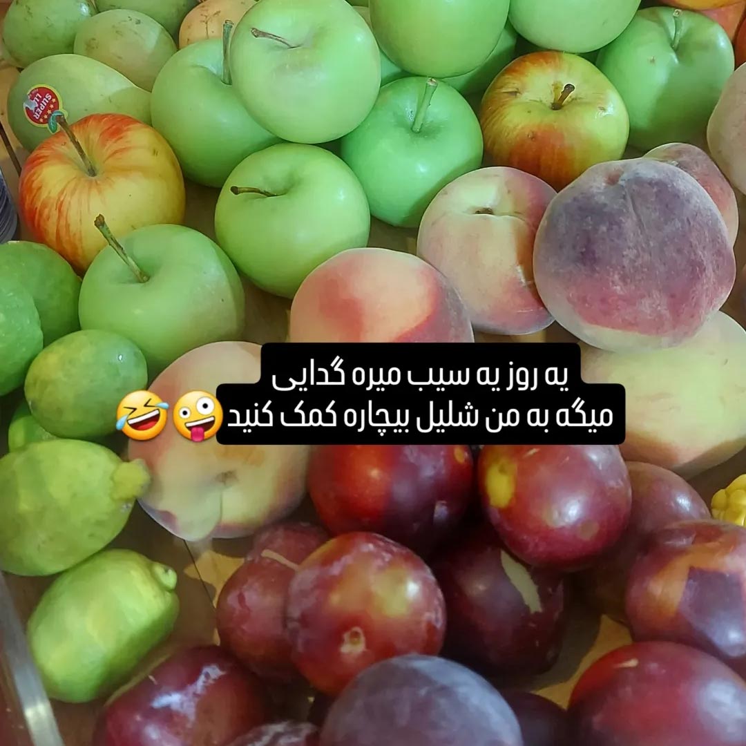 سیب میره گدایی میگه به من شلیل بیچاره کمک کنید